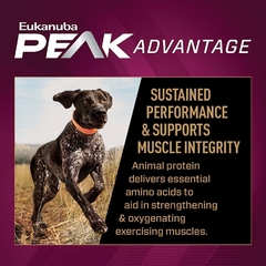 Eukanuba Performance 30/20, 12.7kg - Tiendas Fanc