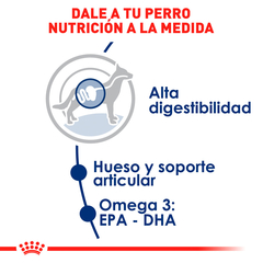 Royal Canin Perro Adulto Raza Grande, 13.6 kg - Tiendas Fanc