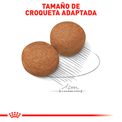 Royal Canin Perro Adulto Raza Grande, 13.6 kg - comprar en línea
