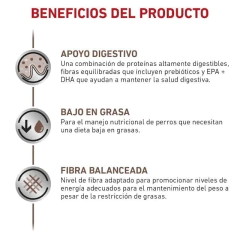 Royal Canin Gastro-Intestinal Low Fat 13 kg - tienda en línea