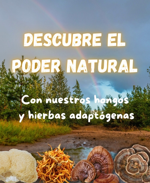 Carrusel 1
