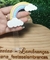 Plano Fundo Arco iris - 13x9cm - comprar online