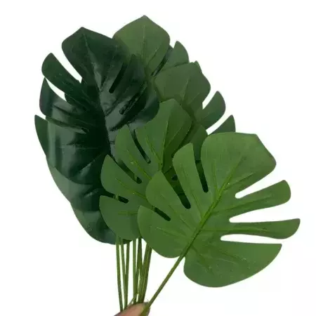 Costela Adão - 9 folhas