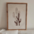 ⌇ Cuadro | tres cactus en internet