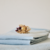 Funda Classic | 80x60