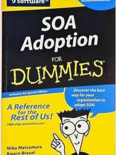 Miko Matsumura - Soa Adoption For Dummies
