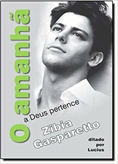 Livros de Zibia Gasparetto - Títulos Diversos - Espírita - comprar online