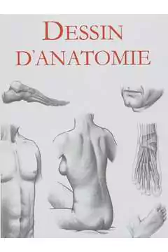 Daniel Carter - Dessin Danatomie