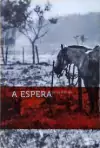 Luigi del Re - A Espera