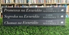 Livros de Sadie Matthews - Titulo Diversos - Literatura Estrangeira