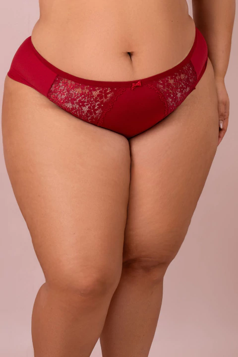 Calcinha Cintura Alta Plus Em Microfibra Com Renda Nas Laterais Carlotta - Vi Lingerie