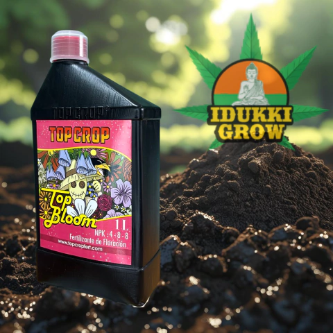 Top Crop Top Bloom - comprar online