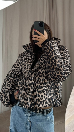 campera harris