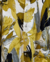 Camisa m/c Kael amarillo en internet