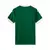 camisa-jogador-palmeiras-titular-2025-26-home-verde--- (2)