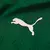 camisa-jogador-palmeiras-titular-2025-26-home-verde--- (2)