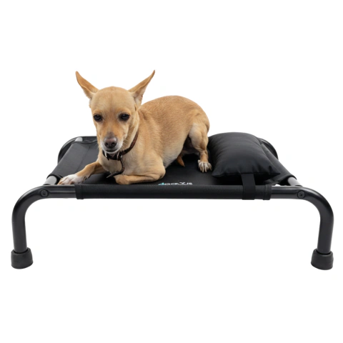 Cama Elevada Para Perro Mini