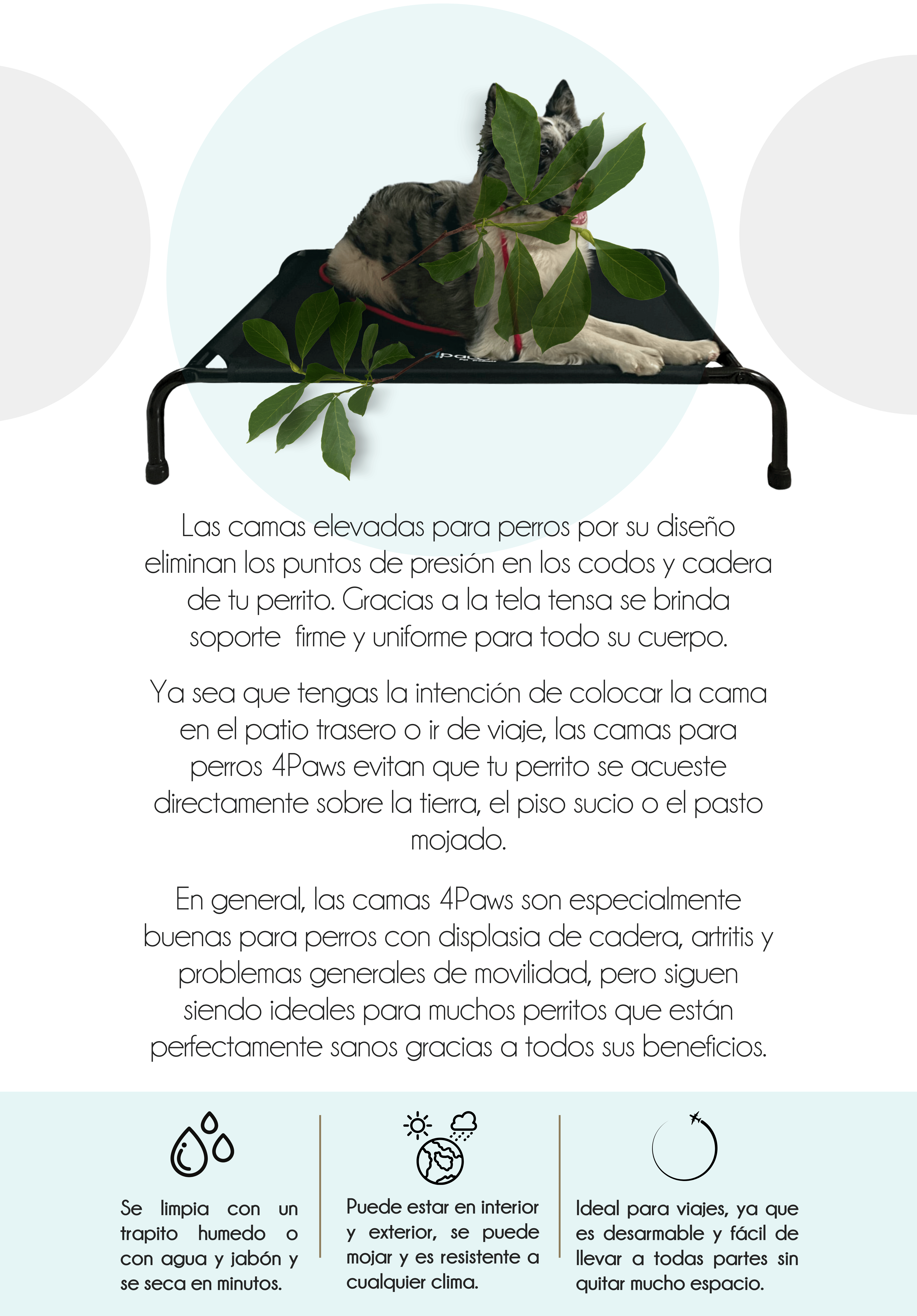 Banner de 4Paws Pet Products