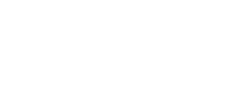 WOT SPEED SHOP