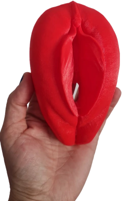 Vulva 3D Anturita on internet