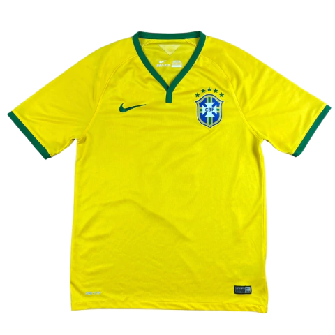 Brasil 2014 I - #8 Paulinho