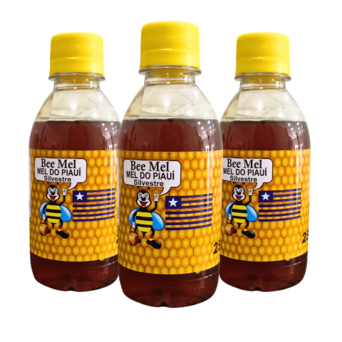 MEL DO PIAUI SILVESTRE - 250ML