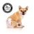 Kit Fralda Higiênica Pet p/ Cães Fêmea Dogs Care Tam P 96 Un - O Cãoselheiro