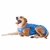 Roupa Protetora Pós Castração Cão Macho - Pet Med - Tam 00 - comprar online