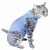 Roupa Protetora Regular Gatos Pet Med Azul e Verde Tam 00 - loja online