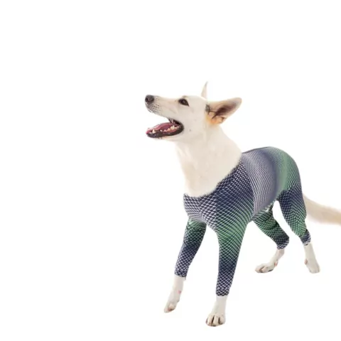 Roupa Protetora Corpo e Membros Cães Pet Med Azul e Verde 8