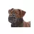 Focinheira Kruuse Buster Extreme Tamanho 5 XG - O Cãoselheiro