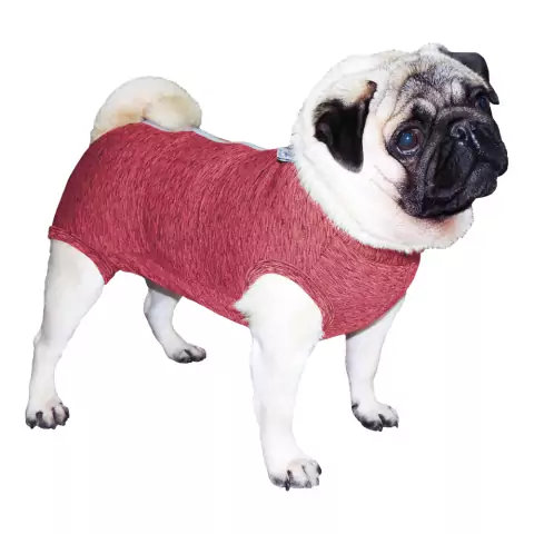 Roupa Protetora Pós Cirúrgica Fit para Cães - Pug - Rosa PP