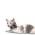 Colar Protetor para Sonda Esofágica Pet Designer Cinza Tam 3 - O Cãoselheiro