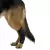 Protetor de Jarrete Pet p/ Cachorro Pet Kruuse Rehab Tam GG