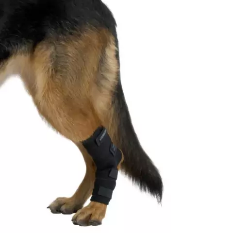 Protetor de Jarrete Pet p/ Cachorro Pet Kruuse Rehab Tam M