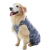 Roupa Protetora de Membros Posteriores - Pet Med - Tam 7 - comprar online