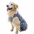Roupa Protetora de Membros Posteriores - Pet Med - Tam 2 - comprar online