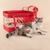 Bolsa Aérea para Pet - Padrão Azul - Preta - 43X31,5X20 cm - loja online