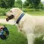 Coleira p/ Cachorro Kong Nylon Collar Cinza GG - 55 a 76cm - O Cãoselheiro