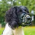 Focinheira para Cães Baskerville Preta G Tamanho 4 - comprar online
