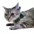 Colar para Sonda Esofágica para Gatos - Pet Med Dry Rosa N3 na internet