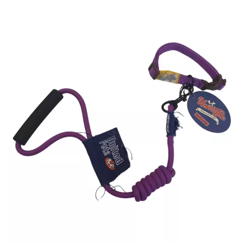 Kit Guia e Coleira para Cães United Pets Violeta Tam G