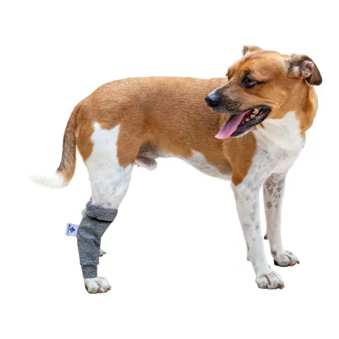 Polaina Protetora para Cães Pet Designer Tamanho 4