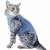 Roupa Protetora Regular Gatos Pet Med Verde e Azul Tam mini - O Cãoselheiro