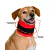 Colar Cervical Confortável para Cães Pet Designer Tamanho 3 na internet