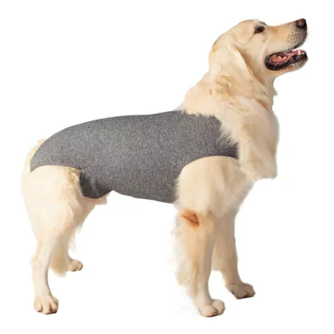 Roupa Pós-cirúrgica Pet Designer Cinza Tamanho 3