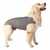 Roupa Pós-cirúrgica Pet Designer Cinza Tamanho 7