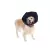 Colar Elizabetano p/ Cachorro e Gato Pet Med Conforto Tam 1 - loja online