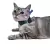 Colar para Sonda Esofágica para Gatos - Pet Med Dry Rosa N3 - O Cãoselheiro