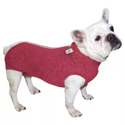 Roupa Pós Cirúrgica Fit para Cães Buldogue Francês Rosa P